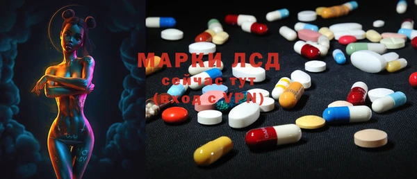 ГАЛЛЮЦИНОГЕННЫЕ ГРИБЫ Абаза