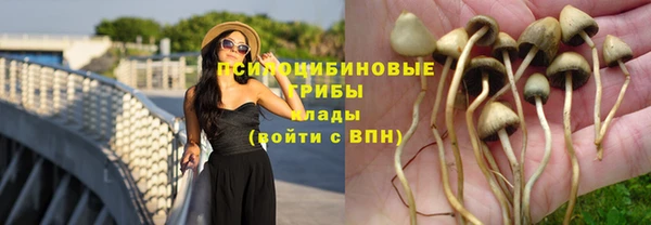 ГАЛЛЮЦИНОГЕННЫЕ ГРИБЫ Абаза