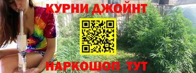 сатива Анапа