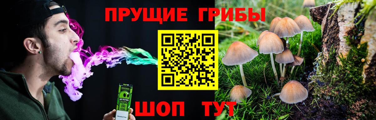 Псилоцибиновые грибы Psilocybine cubensis  Вход с VPN  Красноперекопск 