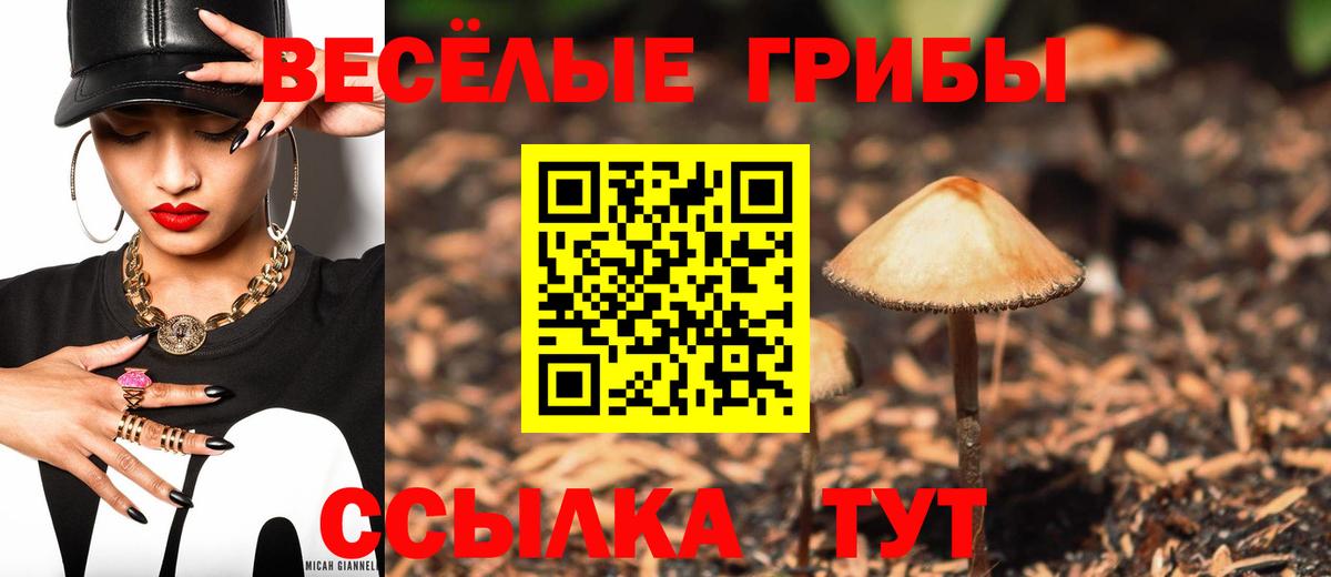 Псилоцибиновые грибы Cubensis Красноперекопск